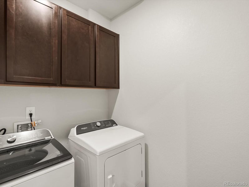 1597 Colorado River Dr, Windsor, CO 80550