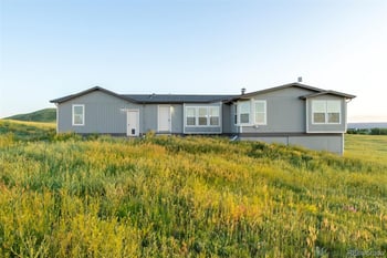 11100 Haskel Creek Rd, Larkspur, CO 80118