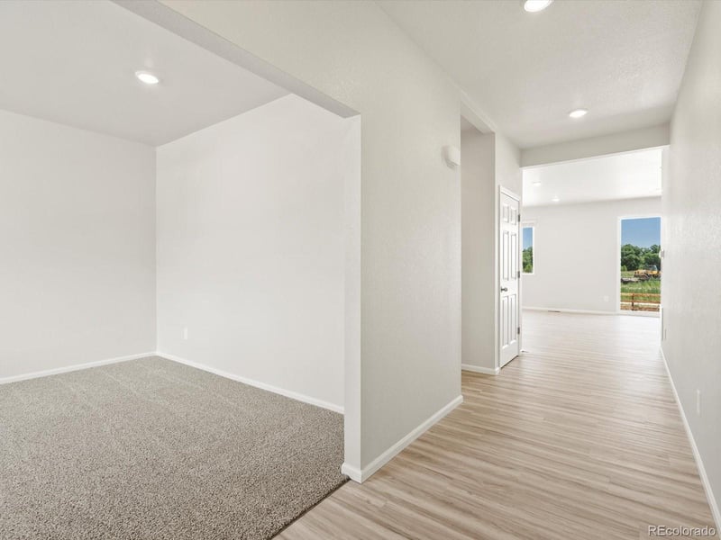 1601 Colorado River Dr, Windsor, CO 80550