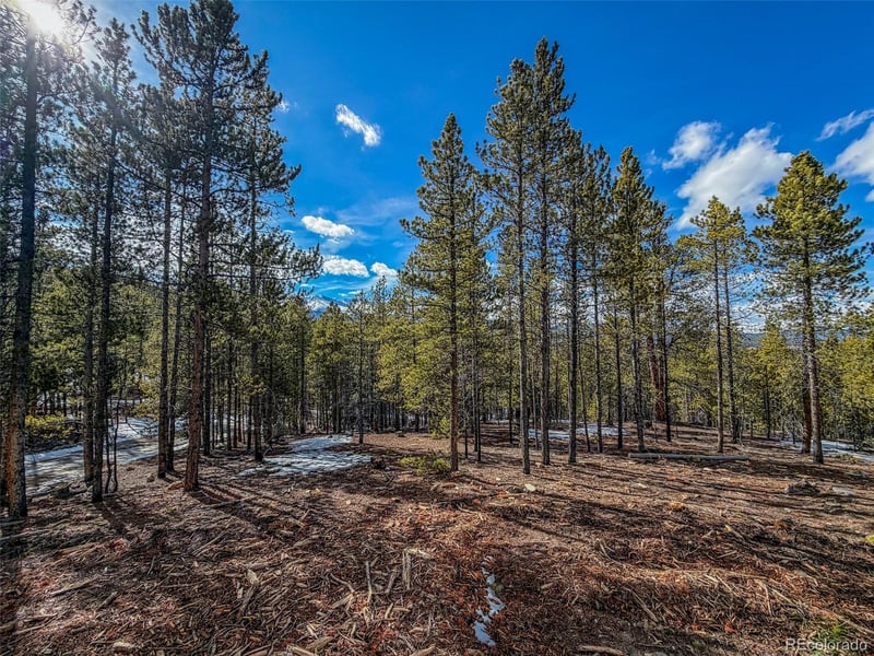 483 Mt Massive Rd Lot 27 & 28, Twin Lakes, CO 81251
