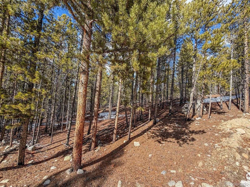 483 Mt Massive Rd, Twin Lakes, CO 81251