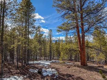 483 Mt Massive Rd, Twin Lakes, CO 81251
