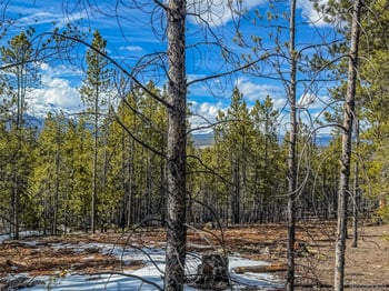 483 Mt Massive Rd, Twin Lakes, CO 81251