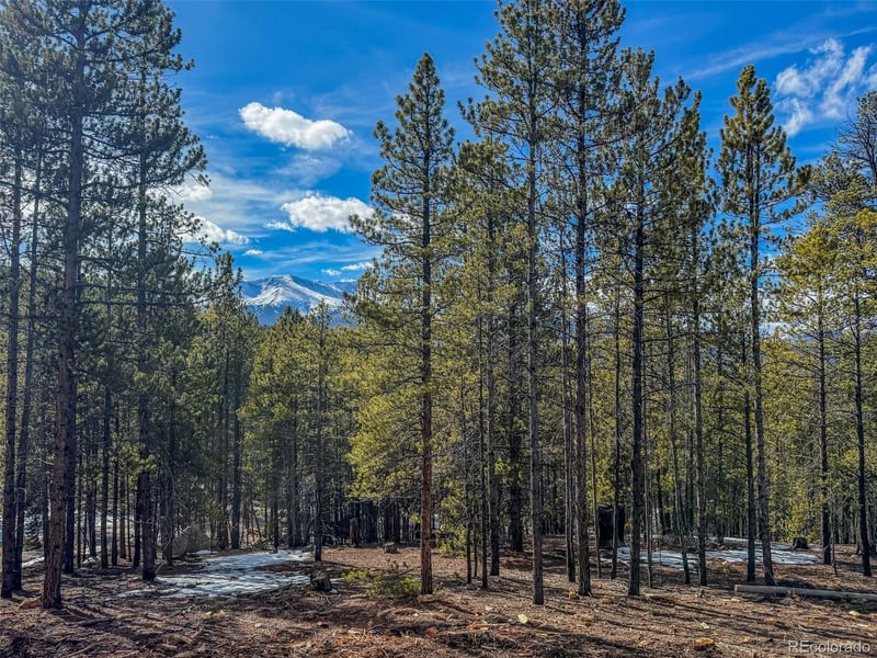 483 Mt Massive Rd, Twin Lakes, CO 81251