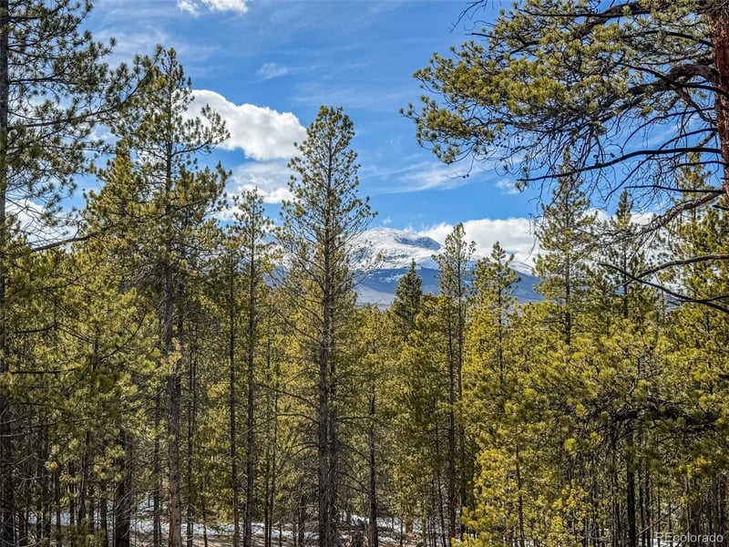 483 Mt Massive Rd, Twin Lakes, CO 81251