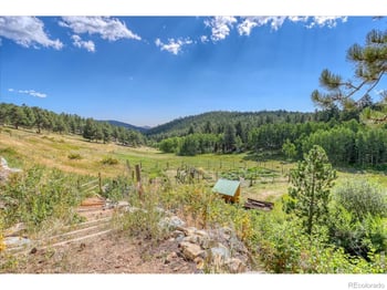143 Crockett Trl, Ward, CO 80481