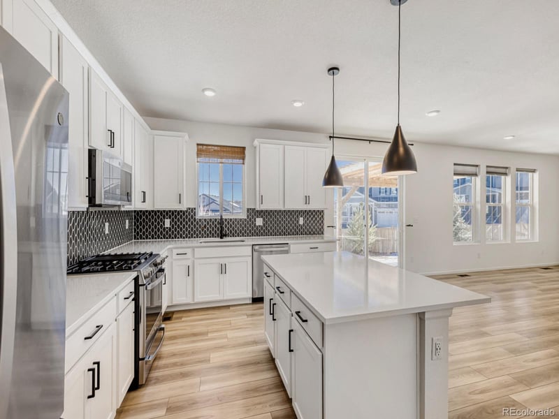 2039 Peachleaf Loop, Castle Rock, CO 80108