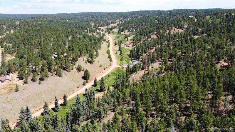 1570 Pathfinder Rd, Florissant, CO 80816