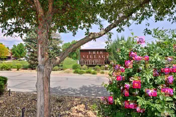 1341 Washburn St, Erie, CO 80516