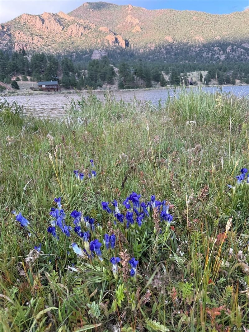 45 Crown Point Pl, Lake George, CO 80827