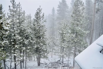 240 Deer Rd, Evergreen, CO 80439