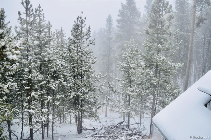 240 Deer Rd, Evergreen, CO 80439