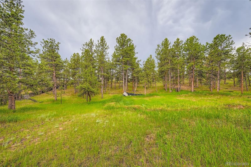 272 Calle Del Sol, Florissant, CO 80816