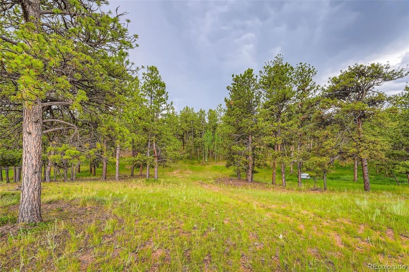 272 Calle Del Sol, Florissant, CO 80816