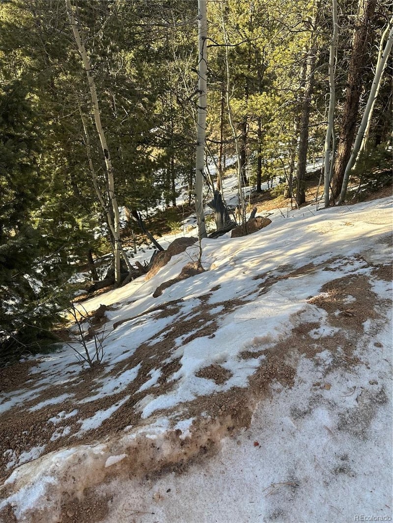 1600 Pikes Peak Dr, Divide, CO 80814