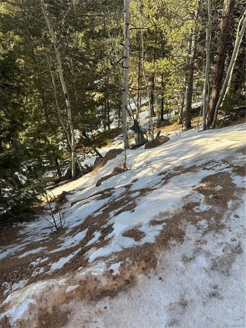 1600 Pikes Peak Dr, Divide, CO 80814