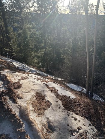 1600 Pikes Peak Dr, Divide, CO 80814