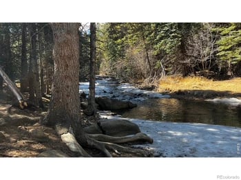 3153 Ridge Rd, Nederland, CO 80466