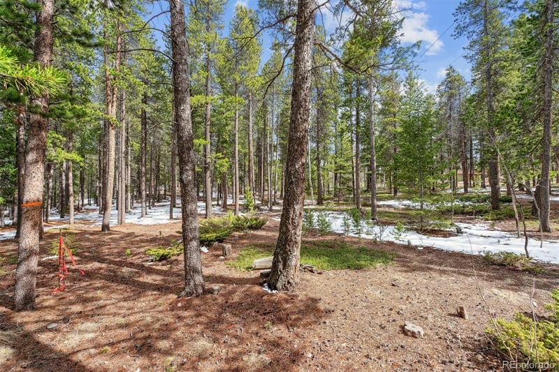 Rock Lake Rd Lot 12, Ward, CO 80481