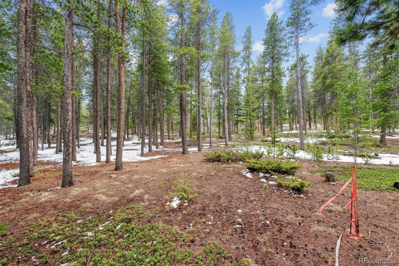 Rock Lake Rd, Ward, CO 80481