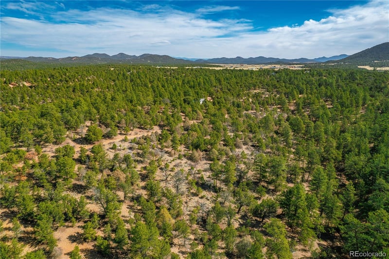 588 8th St, Cotopaxi, CO 81223