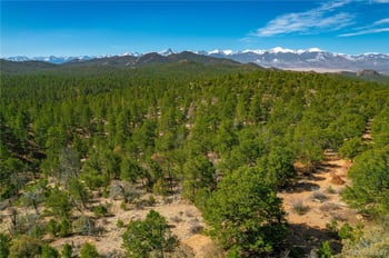 588 8th St, Cotopaxi, CO 81223