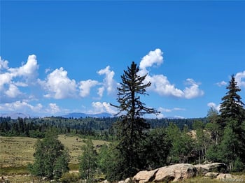 63 Longbow Ct, Jefferson, CO 80456