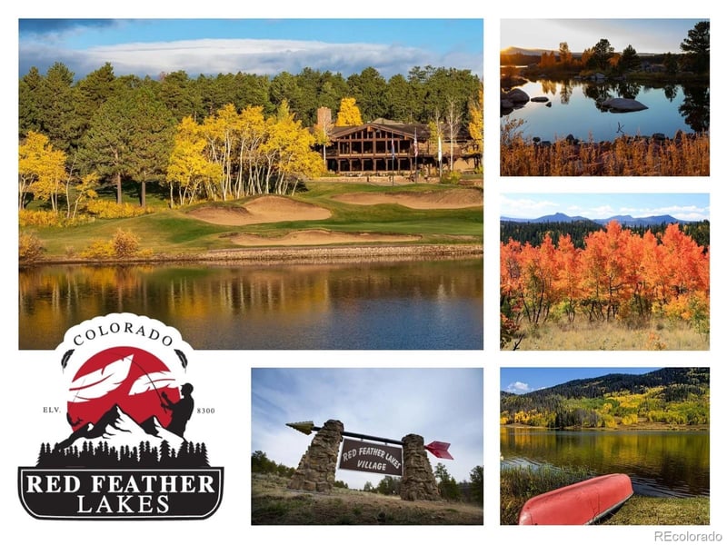 224 Six Elk Ct, Red Feather Lakes, CO 80545