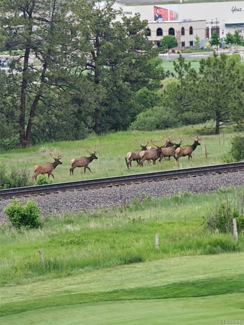 2809 Newport Cir, Castle Rock, CO 80104