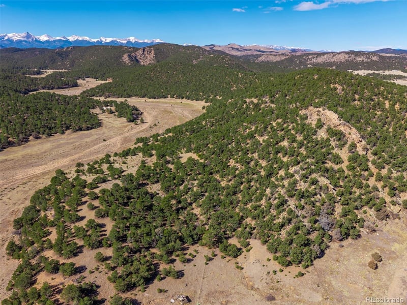 710 Mc Clure Gulch Rd, Cotopaxi, CO 81223