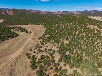 710 Mc Clure Gulch Rd, Cotopaxi, CO 81223