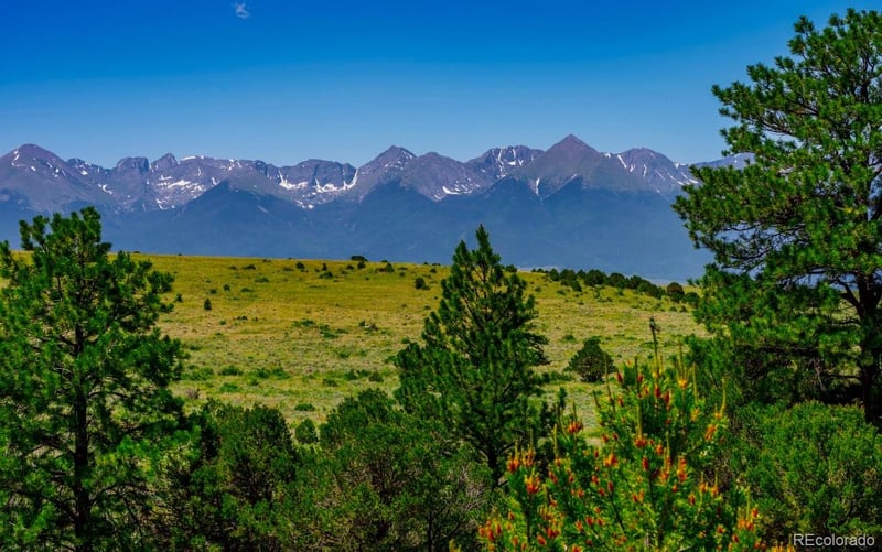 525 Brush Hollow Rd, Westcliffe, CO 81252