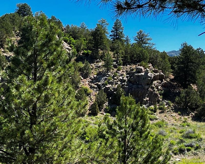 525 Brush Hollow Rd, Westcliffe, CO 81252