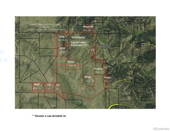 525 Brush Hollow Rd, Westcliffe, CO 81252