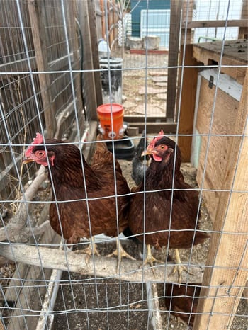 9095 Mississippi Ave, Lakewood, CO 80226