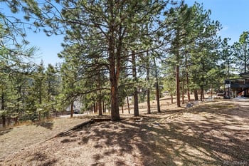 28094 Harebell Ln, Evergreen, CO 80439