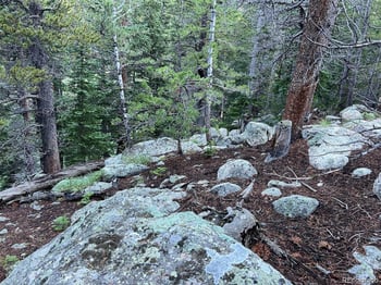 111 Lake Rd, Idaho Springs, CO 80452