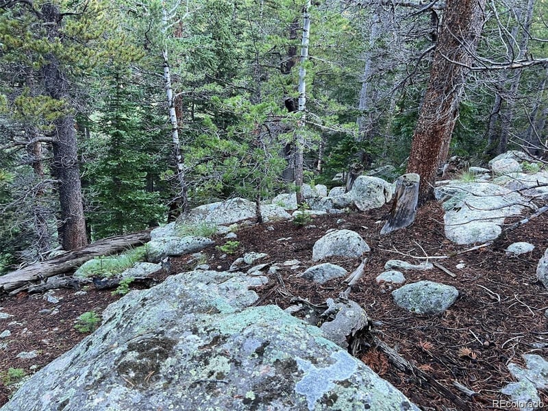 111 Lake Rd, Idaho Springs, CO 80452