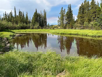 111 Lake Rd, Idaho Springs, CO 80452