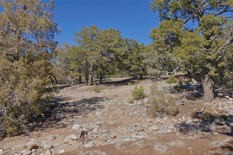 3608 Splendid Ter, Crestone, CO 81131