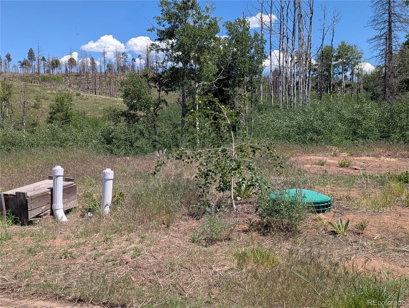 954 Forbes Park Rd, Fort Garland, CO 81133