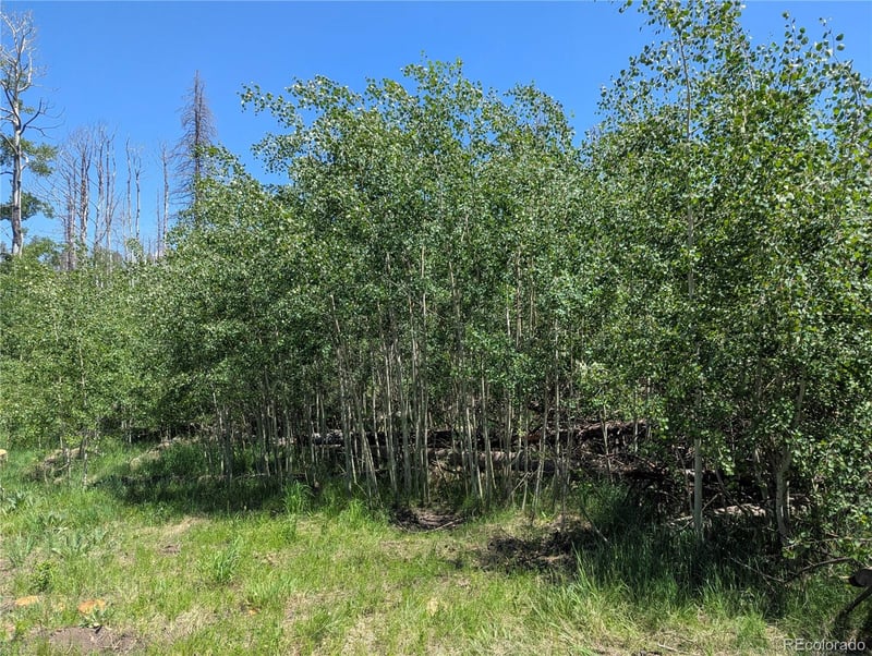 954 Forbes Park Rd, Fort Garland, CO 81133