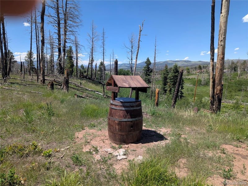 954 Forbes Park Rd, Fort Garland, CO 81133