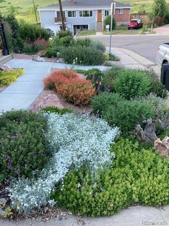 1621 Salvia St, Golden, CO 80226