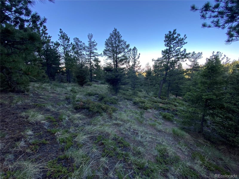 285 Forest Rd, Manitou Springs, CO 80829