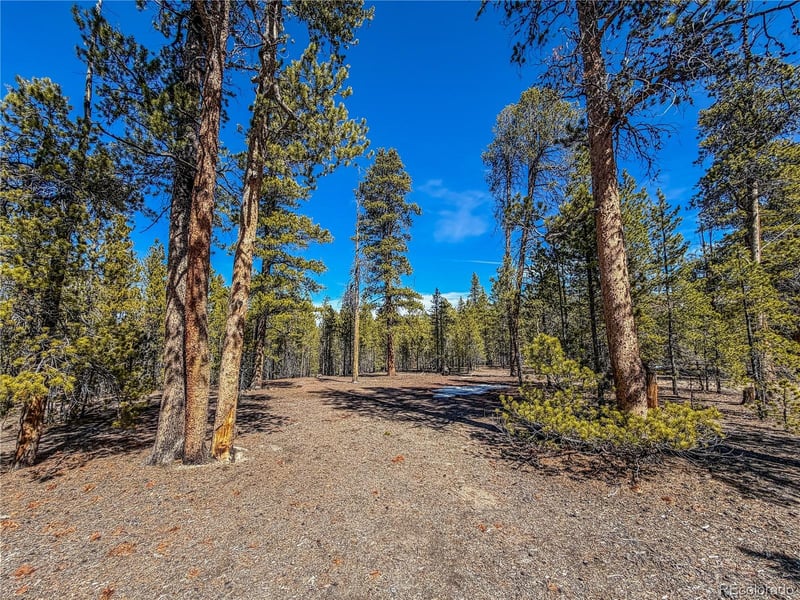 199 Cedar Dr, Twin Lakes, CO 81251