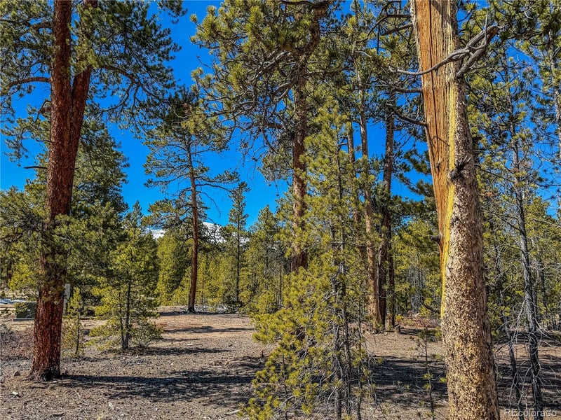 199 Cedar Dr, Twin Lakes, CO 81251