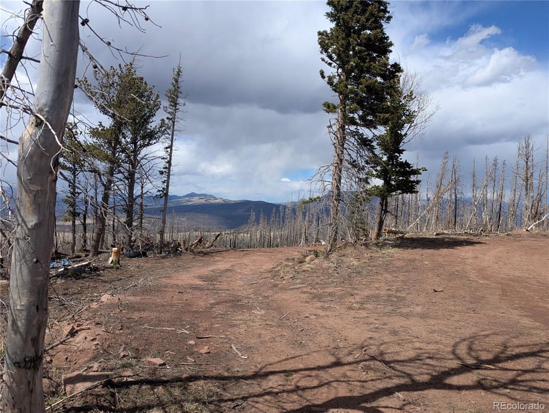 2736 Newman Pl, Fort Garland, CO 81133