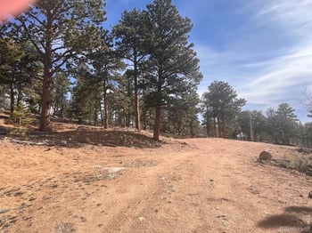 215 Murdock Dr, Red Feather Lakes, CO 80545