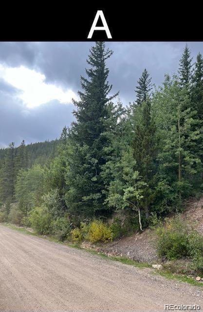 000 Nebraska Dr, Idaho Springs, CO 80452